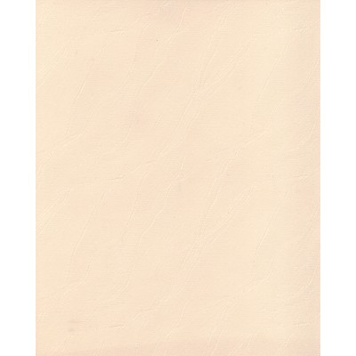 Ролеты тканевые Дюна цвет бежевый 3025