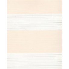 Ролеты тканевые Стандарт зебра цвет бежевый 2063